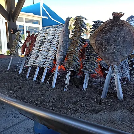 Tess Playamar Liszt *